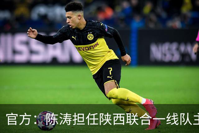官方：陈涛担任陕西联合一线队主教练，上月从深圳新鹏城下课